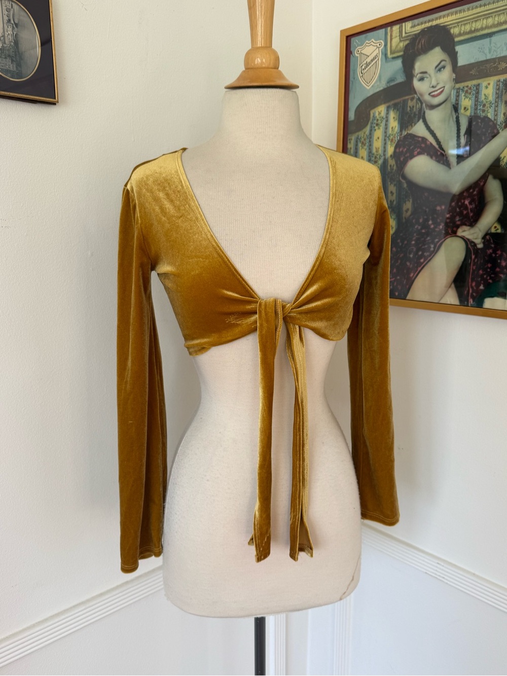 Velvet Tie-Front Crop